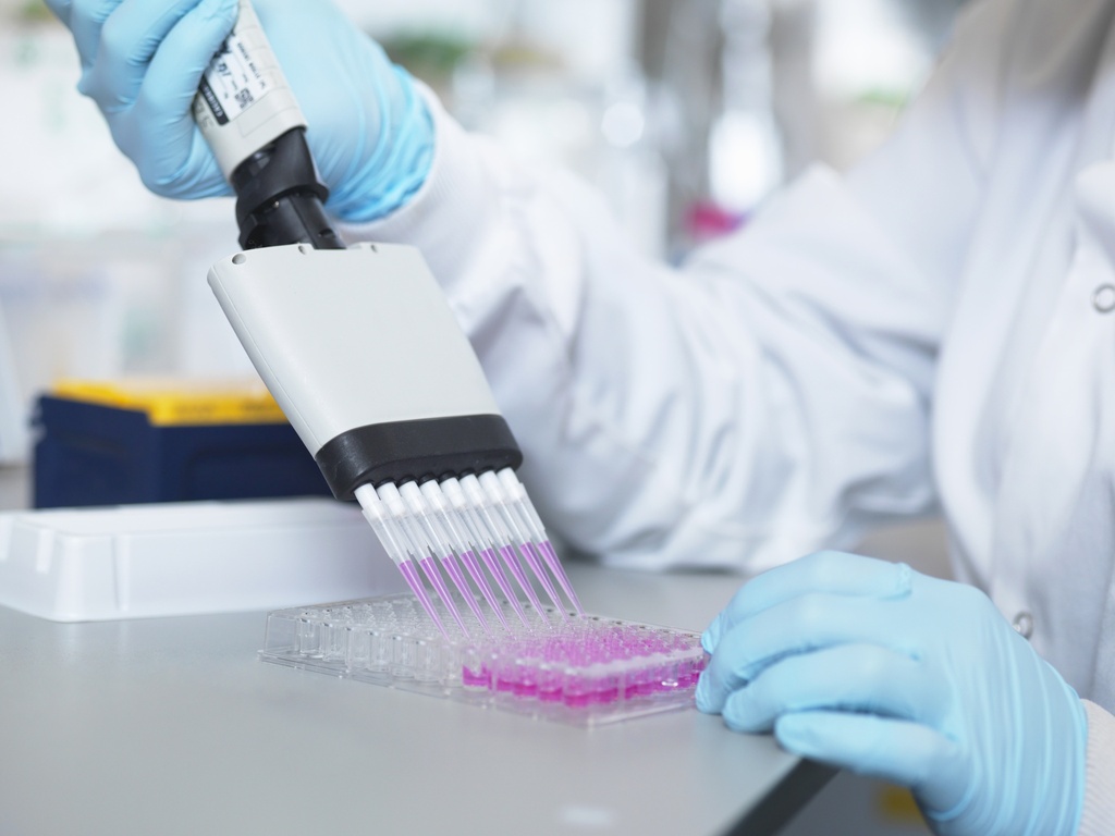 Dog Albumin ELISA Kit   