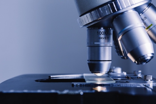 [ SR10041PA-1] Human Doublecortin (DCX) Differentiation Reporter (pGreenZeo, Plasmid)   